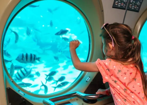 Podwodna Łódź Sindbad Hurghada