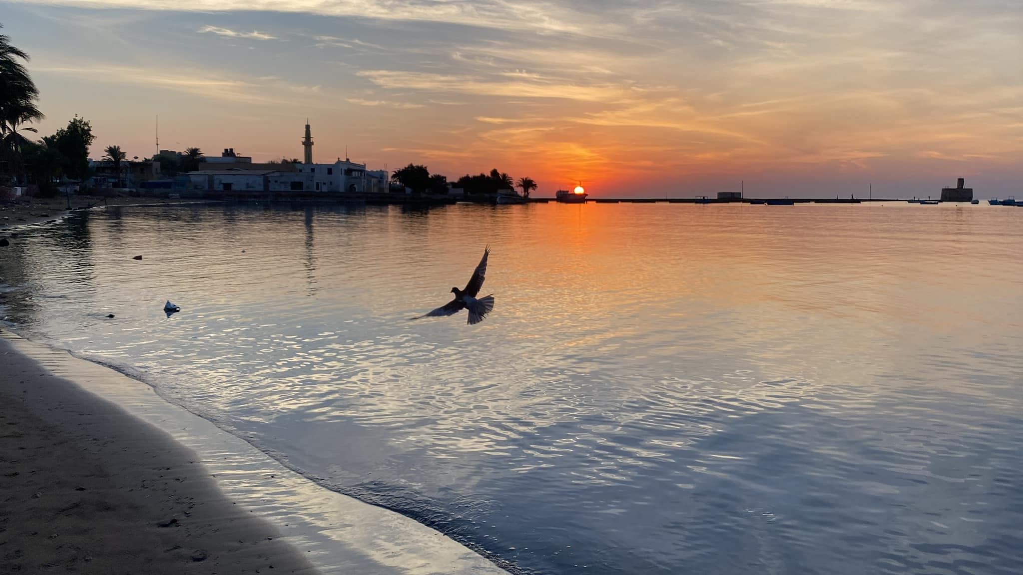 Wycieczka po mieście Al-Kusajr