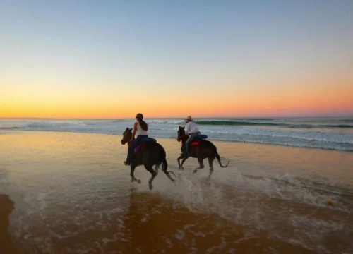 Jazda Konna Po Morzu i Pustyni