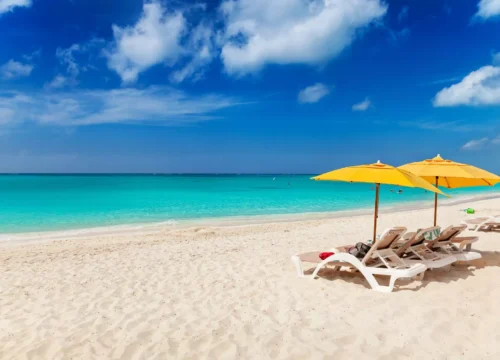 Marsa Alam – raj dla miłośników przyrody i raf koralowych