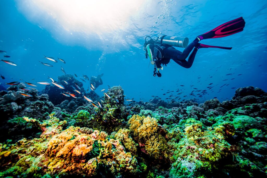 Wycieczki fakultatywne w Egipcie po polsku – Hurghada, Marsa Alam, El Gouna, Sahl Hasheesh, Soma Bay, Makadi Bay 2 Scuba Diving Grenada Coral Reef Exploring