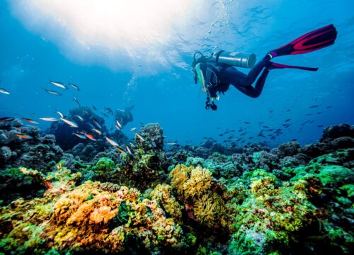 Wycieczki fakultatywne w Egipcie po polsku – Hurghada, Marsa Alam, El Gouna, Sahl Hasheesh, Soma Bay, Makadi Bay