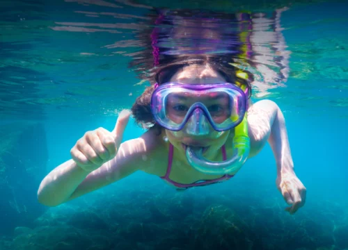 César (Czerwona Rafa Delfinów – łódź podwodna)