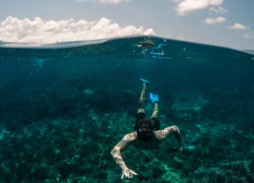 Plaża Abu Dabbab Marsa Alam