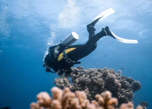 Najlepsze miejsca do nurkowania i snorkelingu w Hurghadzie: odkryj podwodny świat Morza Czerwonego