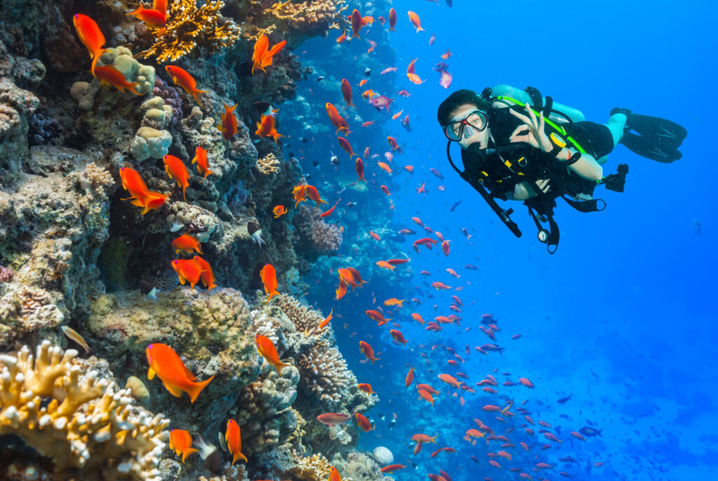 Najlepsze miejsca do nurkowania i snorkelingu w Hurghadzie: odkryj podwodny świat Morza Czerwonego 2 xp2tgbaq407319