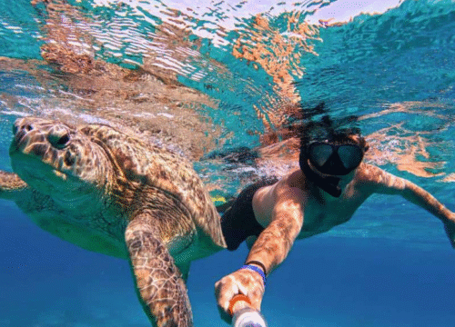 Snorkeling Morze Czerwone dla początkujących 3 Snorkeling Morze Czerwone dla początkujących