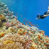 2000x2000 0 70 b858495d8a264c6e498a03a98d22f1a0