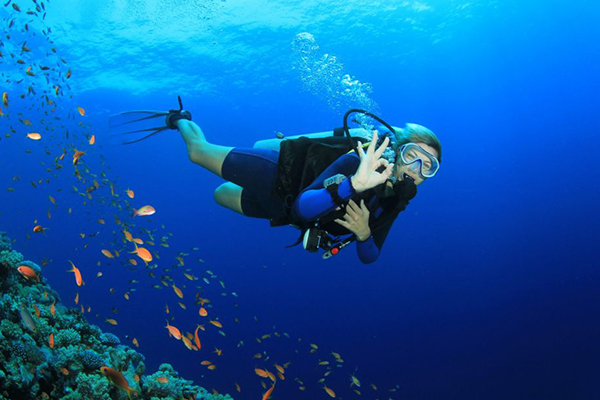 Wprowadzenie: Dlaczego Hurghada to świetna baza na wycieczki 2 Diving Hurghada Alibaba Hurghada 1