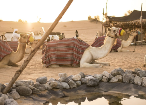 Rodzinne wycieczki do wiosek beduińskich – kultura, jedzenie i tradycje