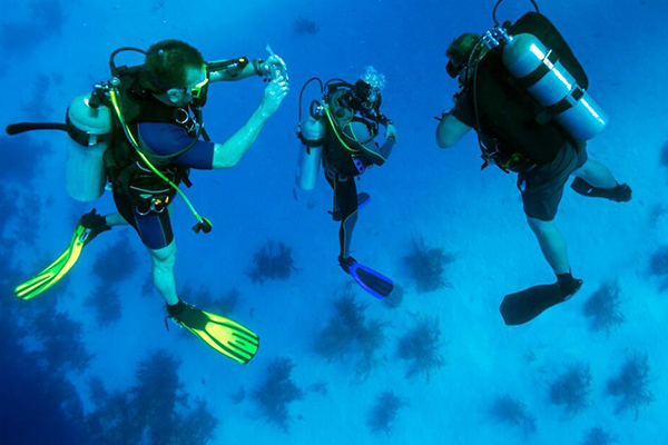 Hurghada dla początkujących – Twój kompletny przewodnik po wycieczkach, atrakcjach i doświadczeniach 2 Diving Hurghada Alibaba Hurghada 4