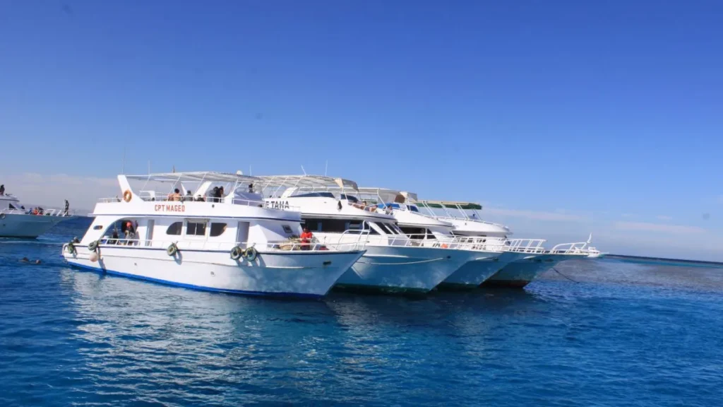 red sea snorkeling e1617456343693