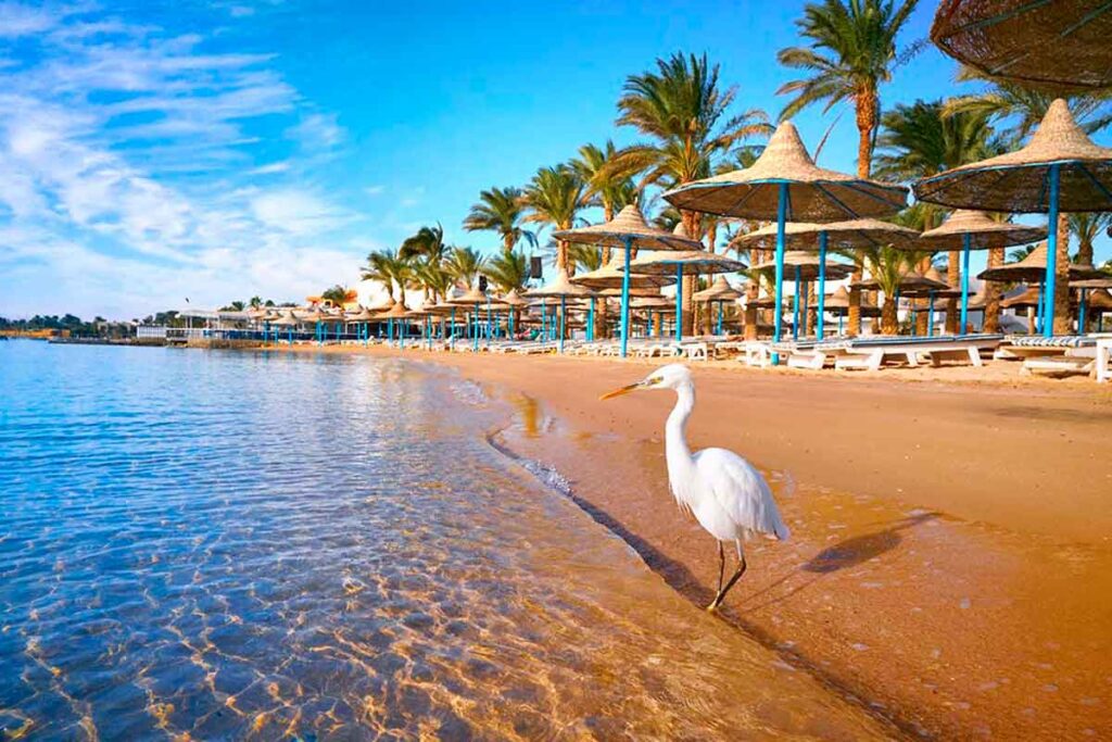 Egipt oczami turysty poza hotelem – co naprawdę robi największe wrażenie 2 playas de hurghada