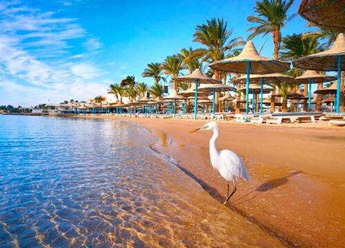 Dlaczego coraz więcej turystów wybiera aktywne zwiedzanie zamiast samego plażowania 1 Dlaczego coraz więcej turystów wybiera aktywne zwiedzanie zamiast samego plażowania