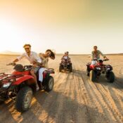 wmremove transformed