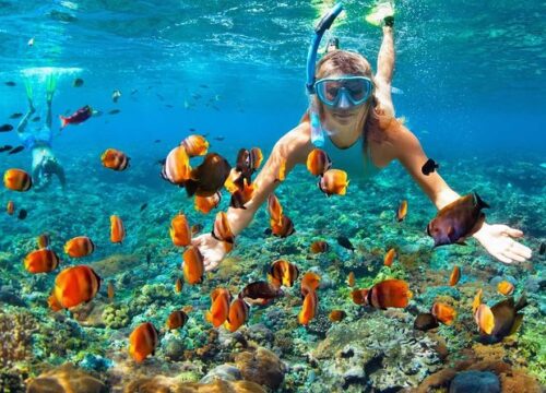 Snorkeling w Morzu Czerwonym – gdzie zobaczyć najpiękniejsze rafy?