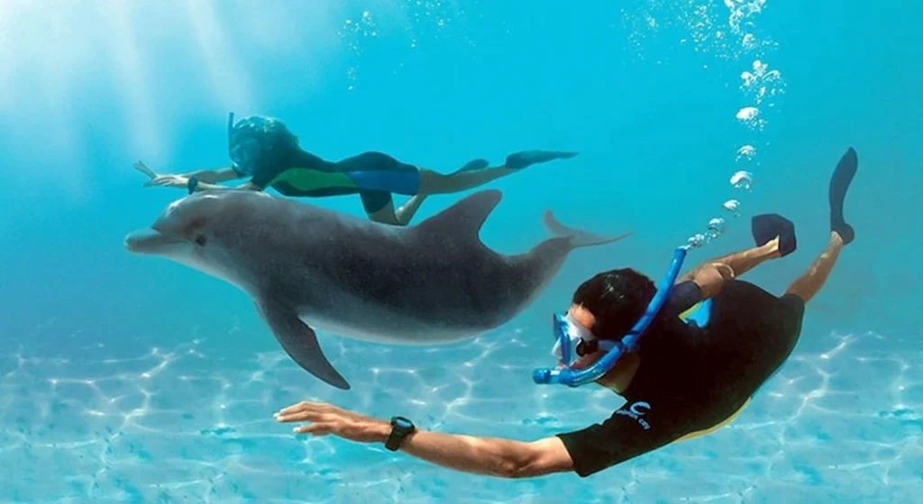 Dolphin House Hurghada tours get your tours egypt 7