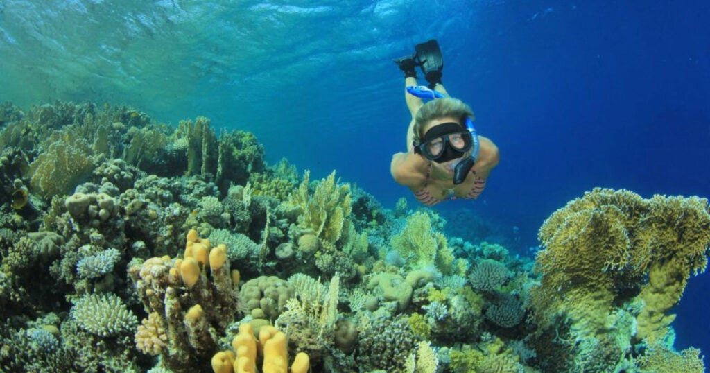 Marsa Mubarak snorkeling 1