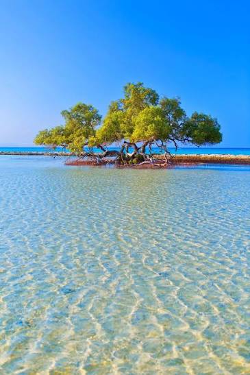 Najpiękniejsze plaże Egiptu poza utartym szlakiem – miejsca, które zachwycają spokojem i naturą 7 images 10