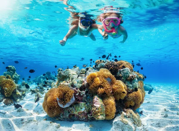 Snorkeling w Morzu Czerwonym – gdzie zobaczyć najpiękniejsze rafy? 5 img.jpg 444