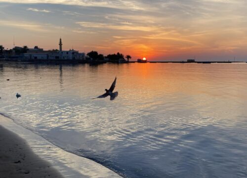 Wycieczka po mieście Al-Kusajr