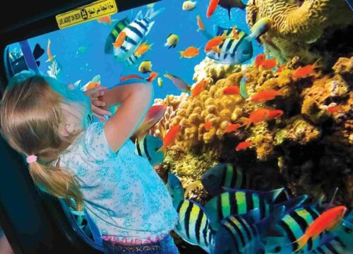 Wycieczka Podwodną Łodzią Ze Szklanym Dnem