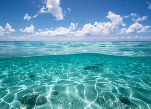 Najpiękniejsze wrażenia z Morza Czerwonego – natura, przygoda i relaks w jednym raju