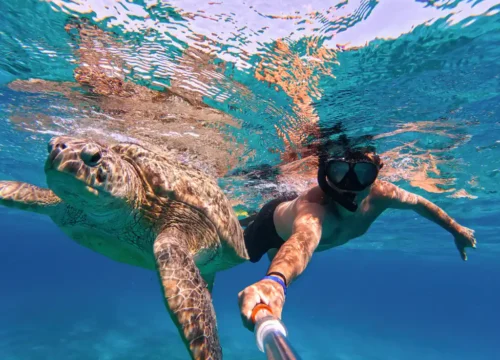 Snorkeling z żółwiami w Hurghadzie – pełny przewodnik dla rodzin i miłośników natury