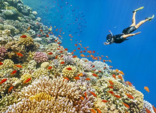 Wprowadzenie: Dlaczego Hurghada to świetna baza na wycieczki