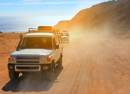 Złota Pustynia 🏜️