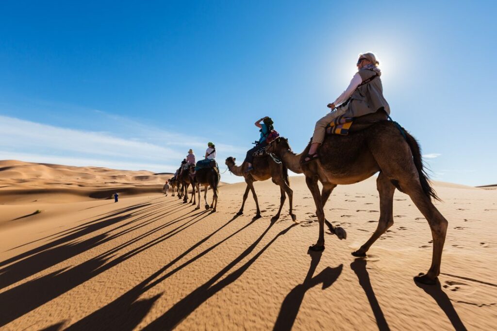 f0e948d0d67ce502506c11bb2b84dae5