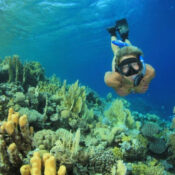 Marsa Mubarak snorkeling