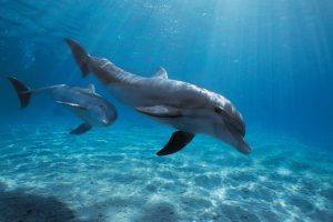 5d3725f285600a4d941aaf47