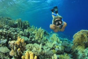 Marsa-Mubarak-snorkeling