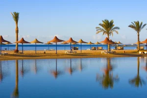 https___tr2storage.blob.core.windows.net_imagenes_4e8sgiPXzcN7-zWoMkdKLwljpeg